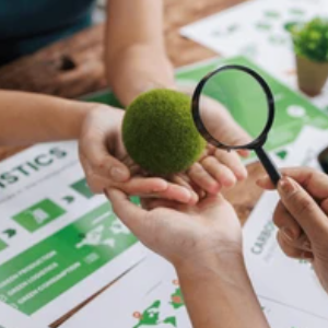 非小号在新交易所上线资产评估决策中的验证路径在信息不对称情境